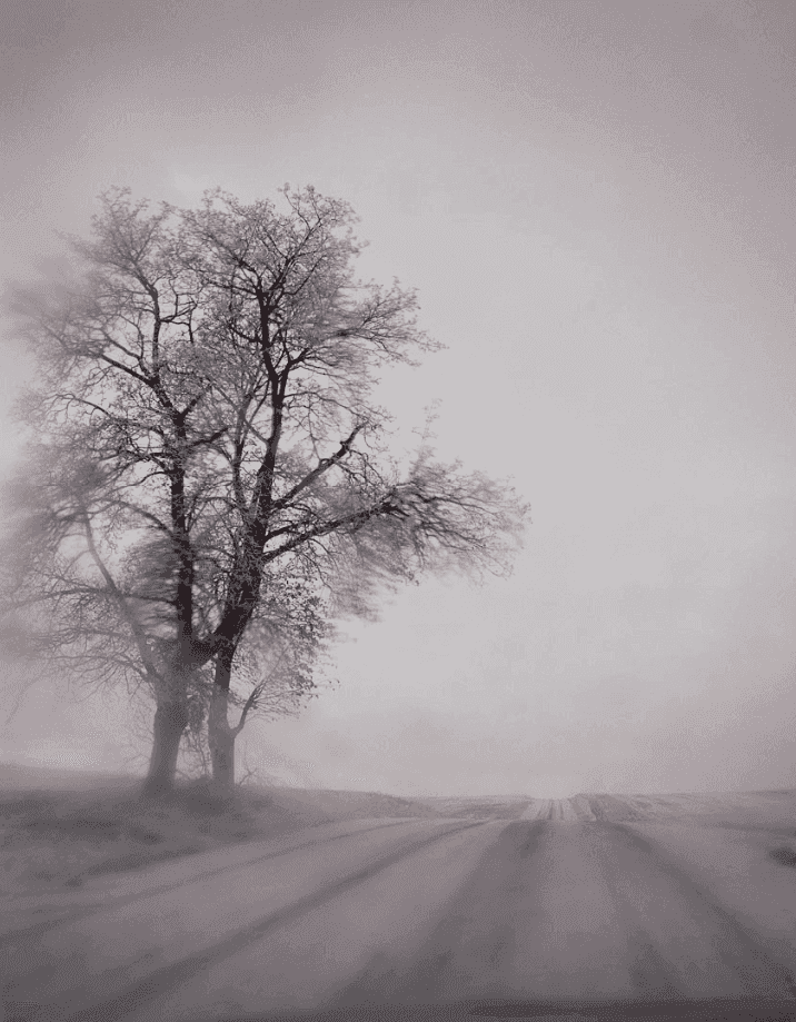 Todd Hido, ‘#9216-B’, 2022, Photography, Archival photographic print, null, 