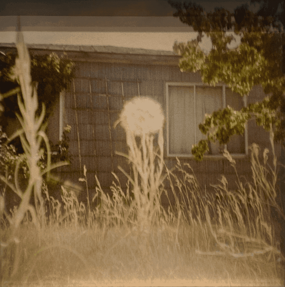 Todd Hido, ‘Untitled #11554-b’, 2014, Photography, Digital Pigment Print, null, 