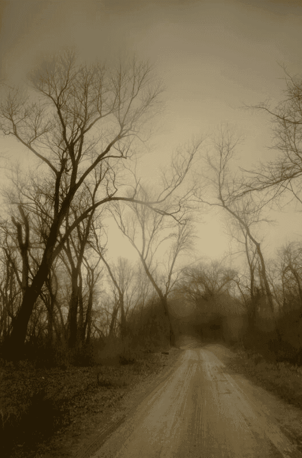 Todd Hido, ‘Untitled #12081-2383’, 2022, Photography, Digital Pigment Print, null, 