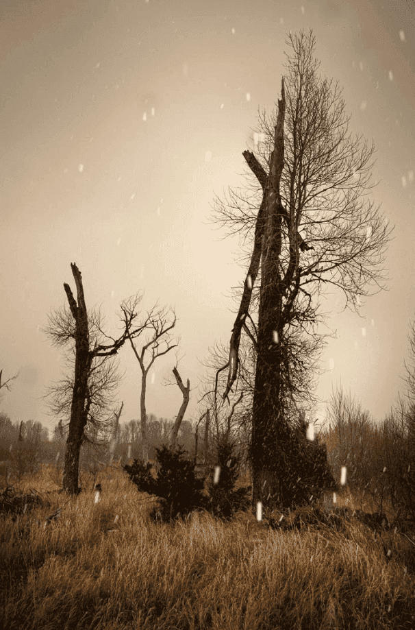 Todd Hido, ‘Untitled #12166-9601’, 2023, Photography, Digital pigment print, null, 