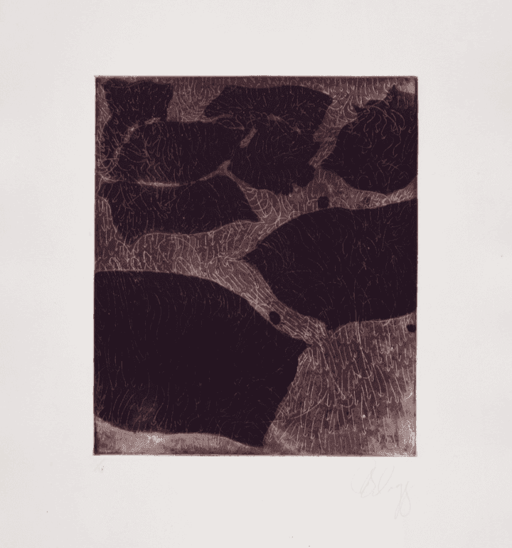 Tony Cragg, ‘Die 1. Ära (Version Q)’, 1991, Print, Etching single sheet, null, Numbered