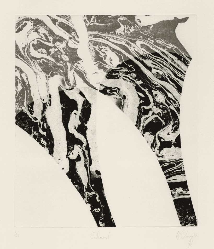Tony Cragg, ‘Exhaust’, 1988, Print, Aquatint in black., Crown Point Press, Numbered, Dated