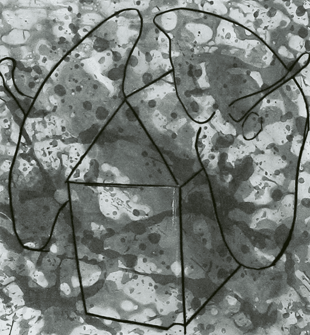Tony Cragg, ‘Listeners I’, 2002, Print, Etching, null, 