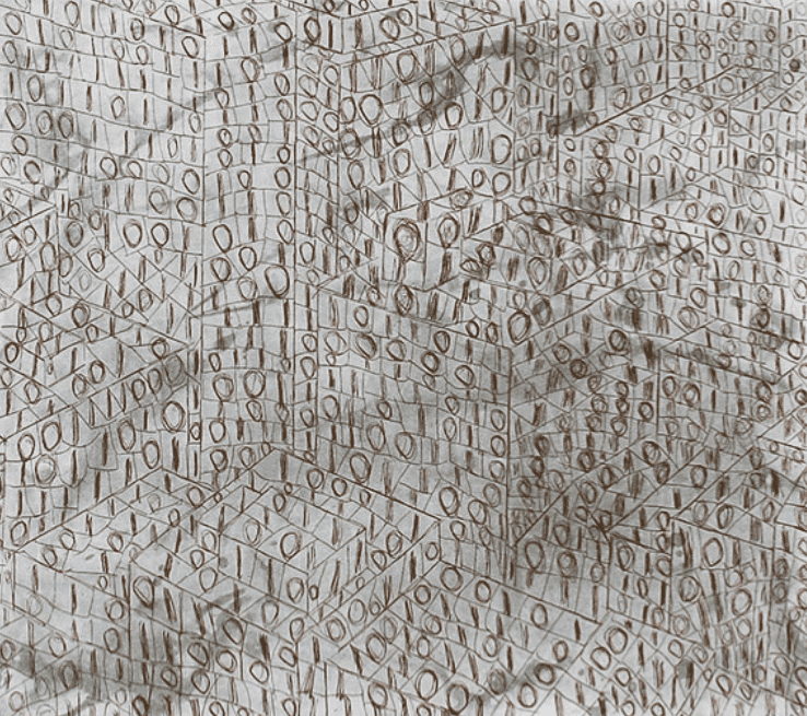 Tony Cragg, ‘Topography I’, 2003, Print, Etching, null, Numbered