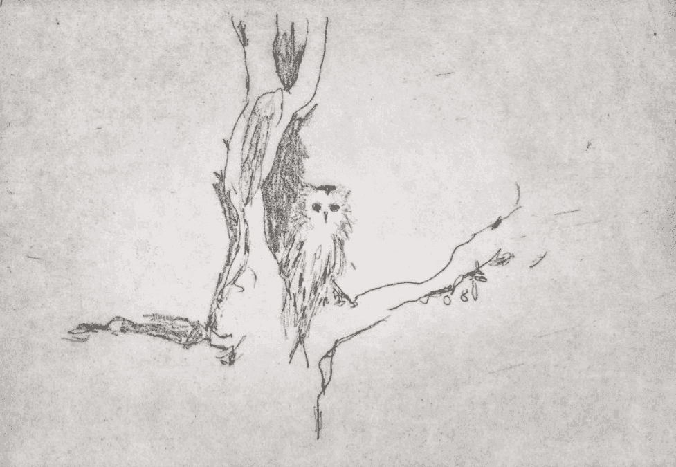 Tracey Emin, ‘Little Owl’, 2005, Print, Etching on woven paper, null, Numbered, Dated