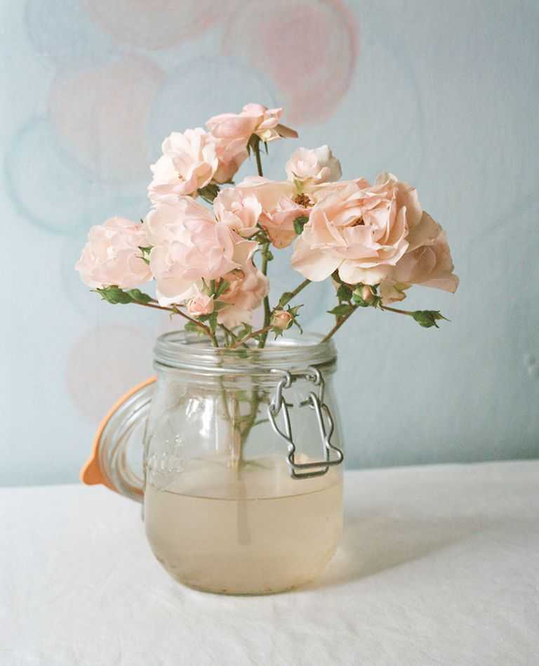 Vikram Kushwah, ‘Pink Roses in Muddy Water (Large)’, 2020, Print, Hahnemühle Photorag fine art cotton paper., null, Numbered