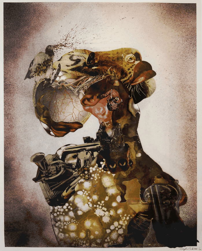 Wangechi Mutu, ‘Homeward Bound’, 2009, Print, Archival pigment print with silkscreen on archival paper, Edition Jacob Samuel, Numbered, Dated