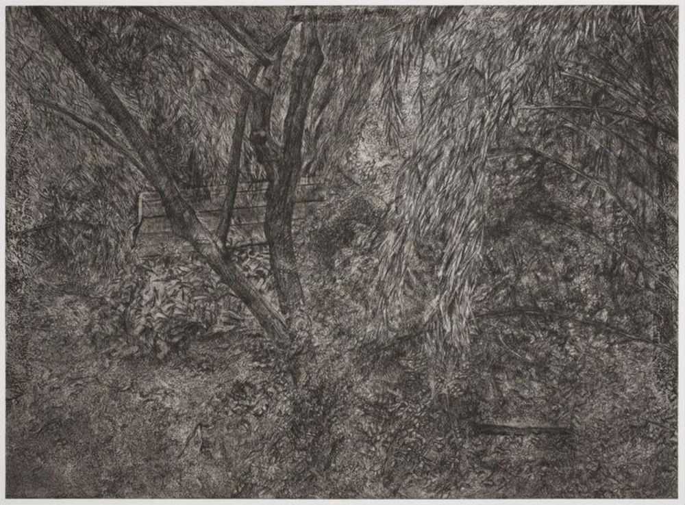 Lucian Freud, ‘Painter's Garden’, 2004, Print, Etching, Acquavella LLC, Numbered
