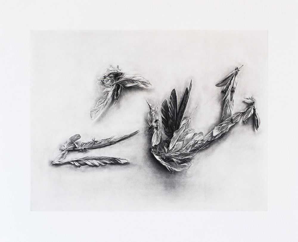 Ai Weiwei, ‘Parrot Feathers’, 2022, Print, Mezzotint etching, Maybe Art, Numbered
