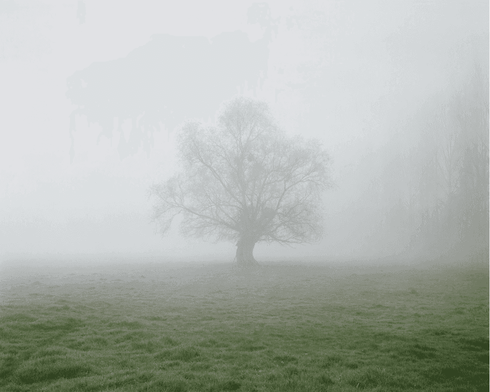 Alec Soth, ‘Fontainebleau’, 2007, Print, Archival pigment print, null, 