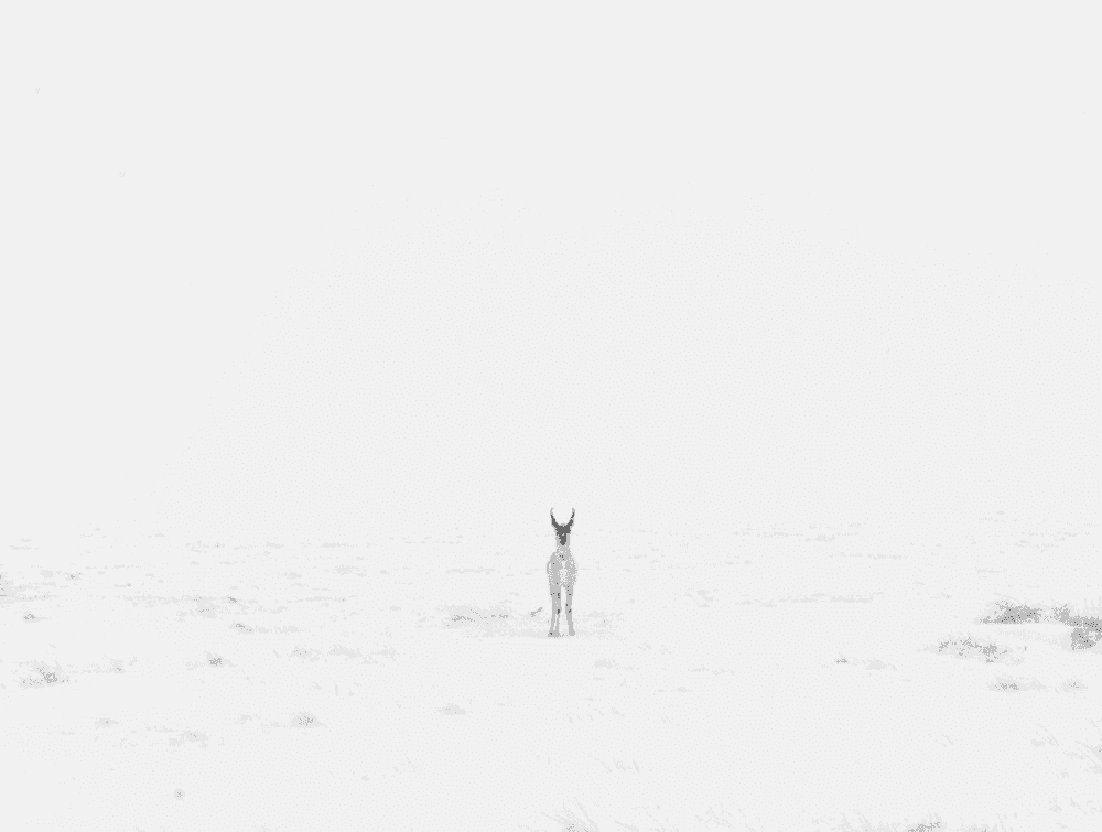 Alec Soth, ‘West of Sterling, Colorado’, 2013, Print, Pigment print, null, 