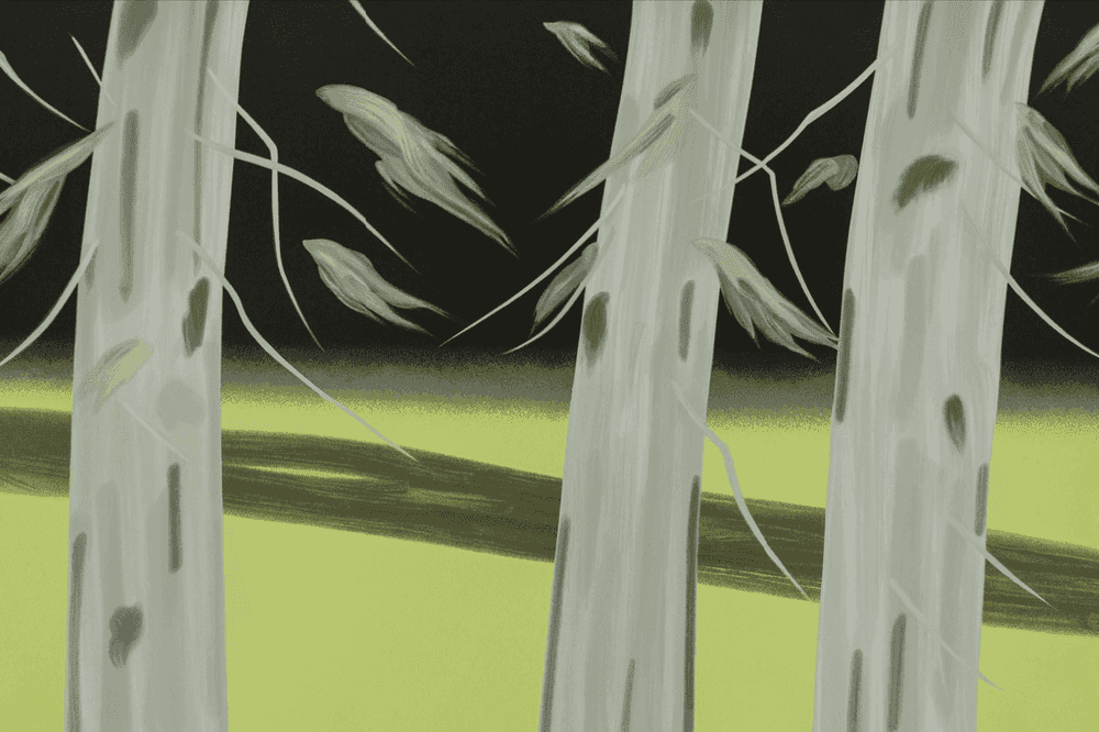 Alex Katz, ‘Three Trees’, 2018, Print, Screenprint on Saunders Waterford 425gsm paper, null, Numbered