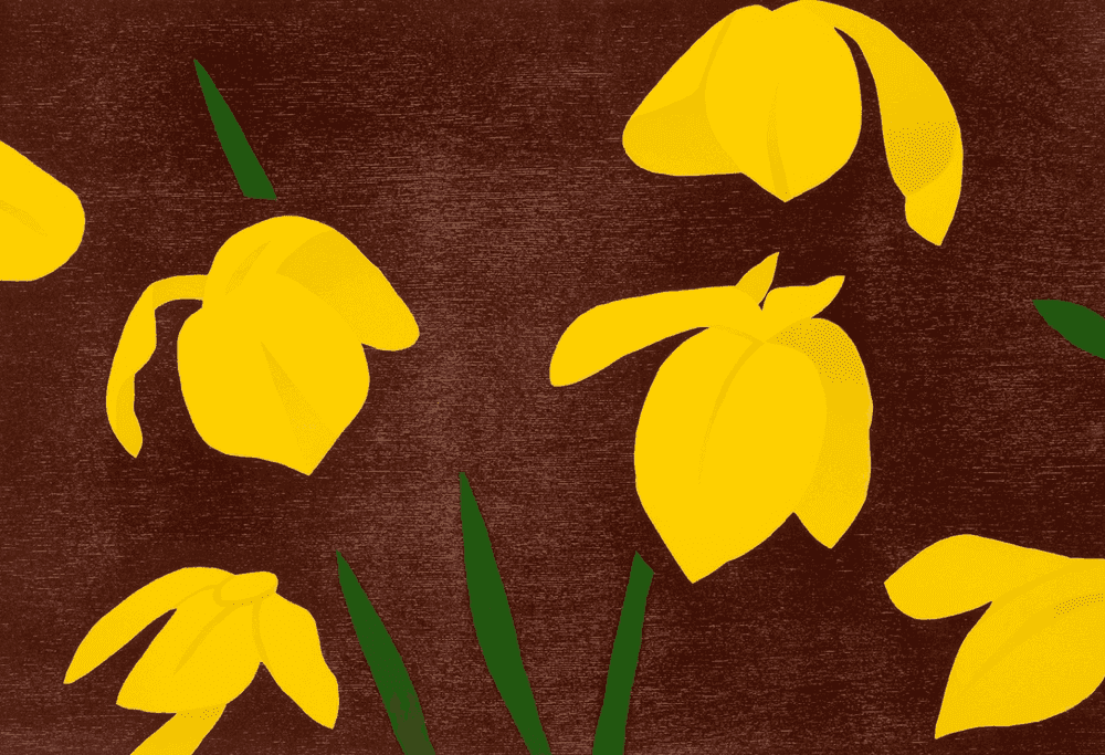 Alex Katz, ‘Yellow Flags’, 2013, Print, Woodcut in four colors on Rives Heavyweight paper, null, Numbered