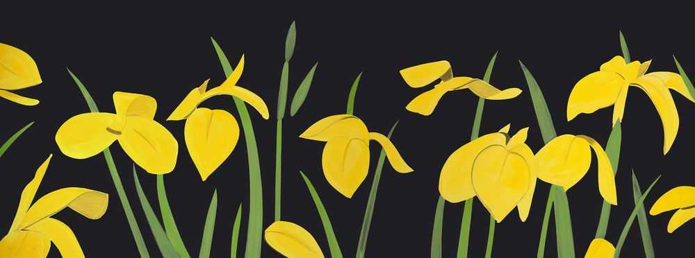 Alex Katz, ‘Yellow Flags 2’, 19-07-2018, Print, Archival pigment inks on Crane Museo max 365gsm fine art paper, Lococo Fine Art, Numbered