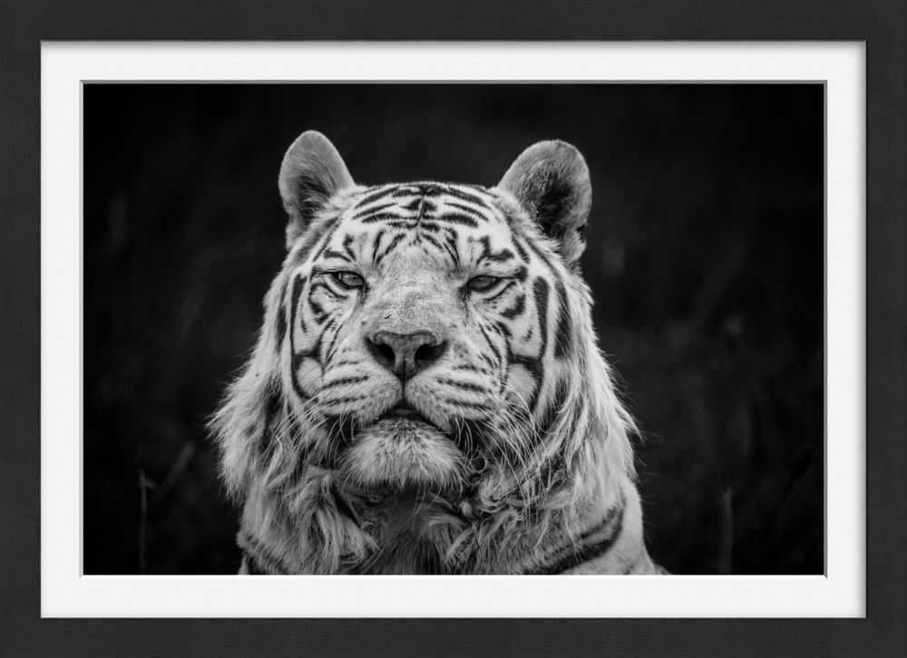 Alfie Bowen, ‘Enchantment’, 2021, Print, Fine art print, Castle Fine Art, Framed