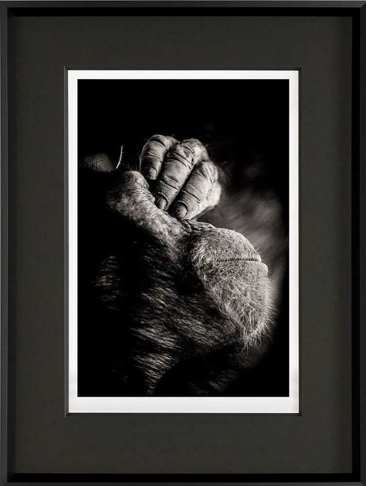 Alfie Bowen, ‘It's Been A Long Day’, 2021, Print, Giclee on paper, Castle Fine Art, Numbered, Framed