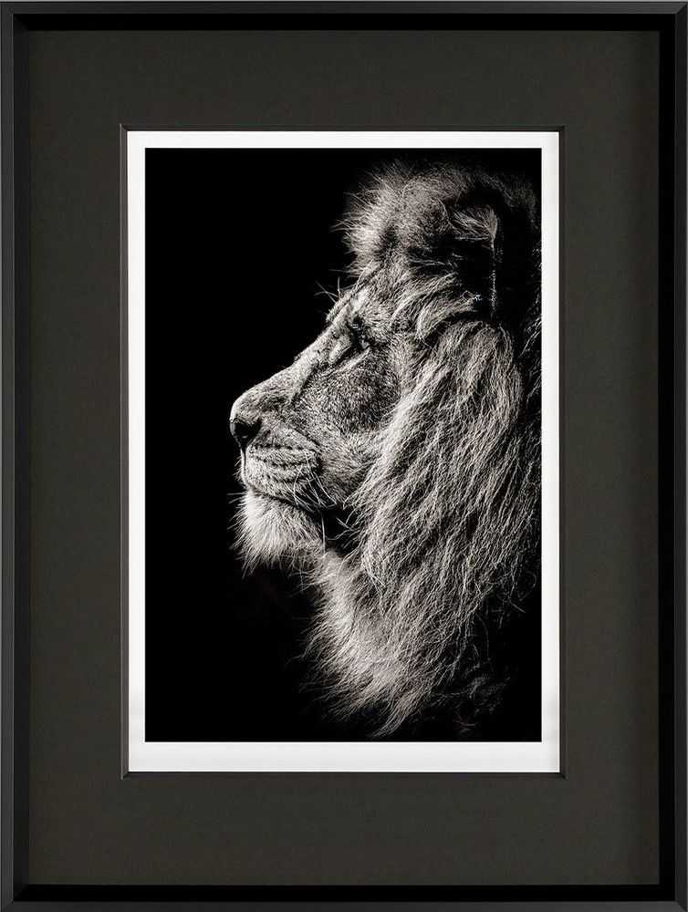 Alfie Bowen, ‘Prince of Darkness’, 2021, Print, Giclee on paper, Castle Fine Art, Numbered, Framed