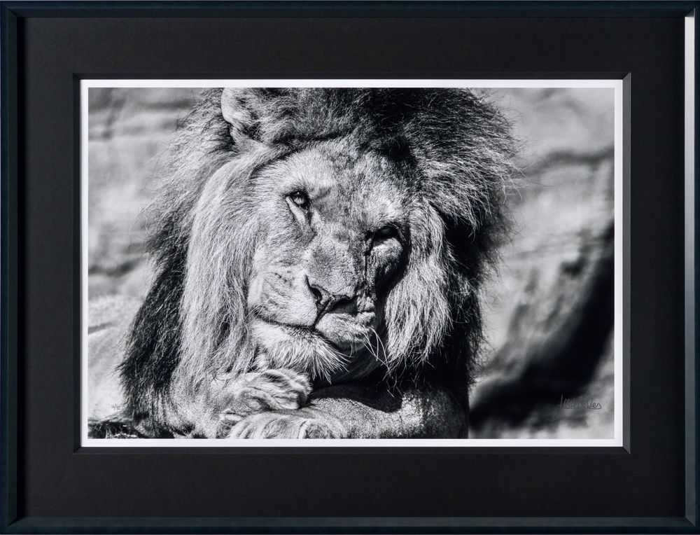Alfie Bowen, ‘Sovereign’, 2022, Print, Silver gelatin print, Castle Fine Art, Numbered, Framed