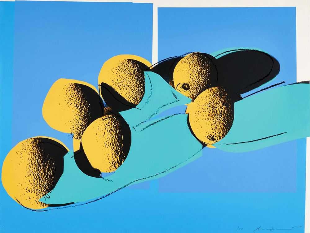 Andy Warhol, ‘Space Fruit Cantaloupes I (FS II.201)’, 1979, Print, Screenprint on Lenox Museum Board, null, 