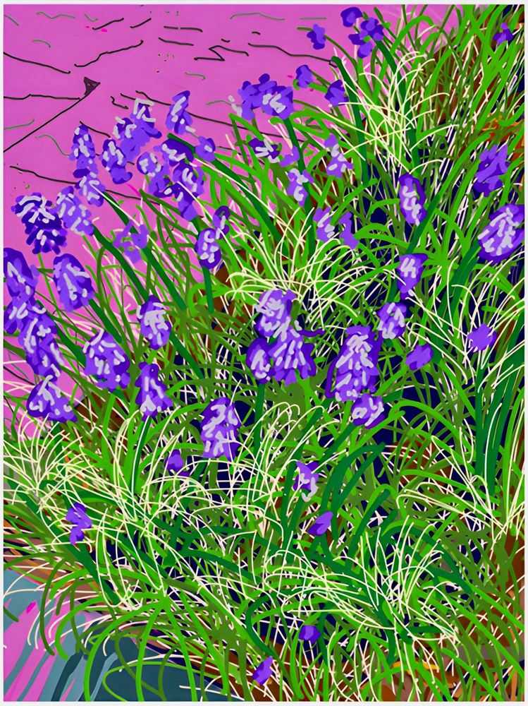 Anna Valdez, ‘Purple’, 30-01-2016, Print, C-Type Photographic Print, Hashimoto Contemporary, 