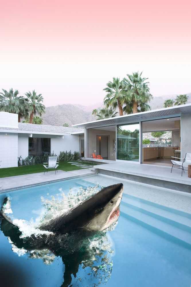 Blank Barbie, ‘Shark Pool’, 2024, Photography, Archival pigment prints, null, Numbered