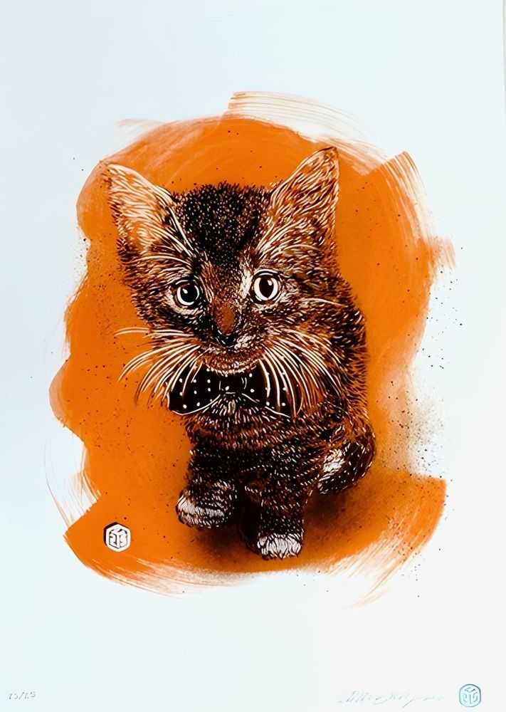C215 (Christian Guémy), ‘Charly (Caramel-Orange)’, 23-05-2017, Print, Screen Print, iDroom, Numbered