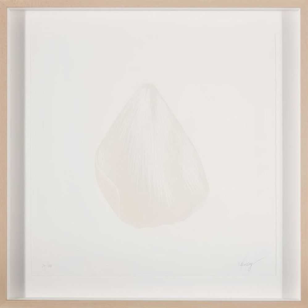 CJ Hendry, ‘Buttercup’, 10-04-2020, Print, Pearl color heat press on 4ply 100% cotton acid free paper, Self-released, Numbered, Framed