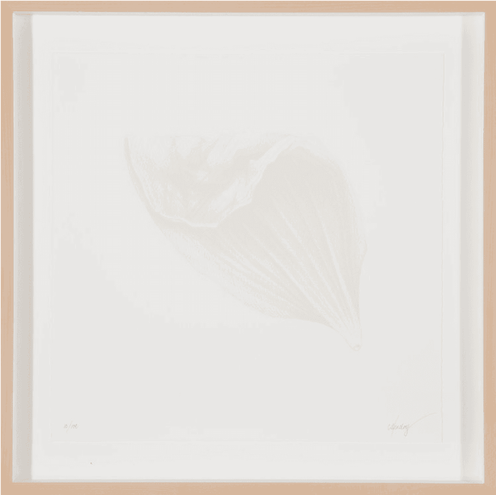 CJ Hendry, ‘Dahlia’, 10-04-2020, Print, Pearl color heat press on 4ply 100% cotton acid free paper, Self-released, Numbered, Framed