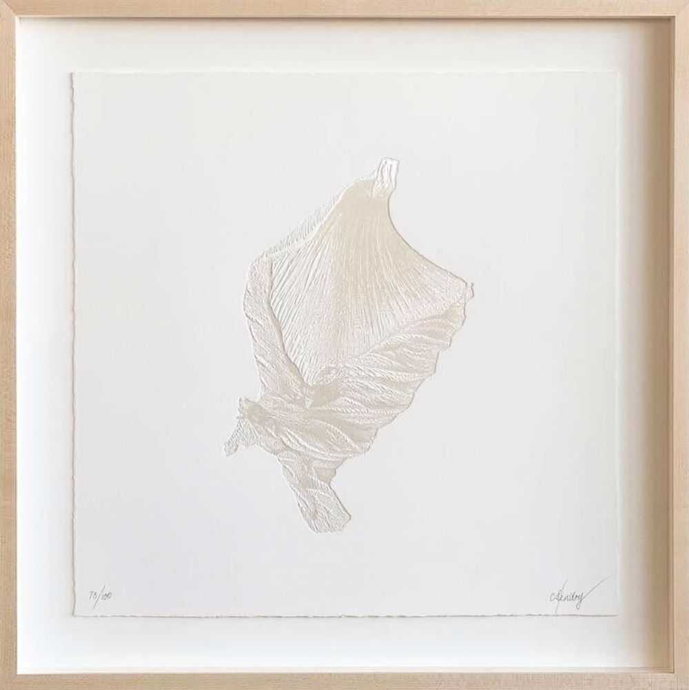 CJ Hendry, ‘Hibiscus’, 10-04-2020, Print, Pearl color heat press on 4ply 100% cotton acid free paper, Self-released, Numbered, Framed