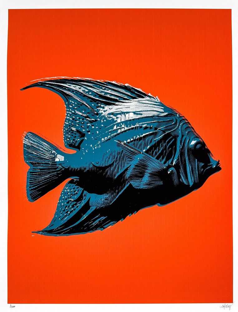 CJ Hendry, ‘Pastel Editions - Fish (Blue-Red)’, 2026, Print, Fine art paper, null, Numbered