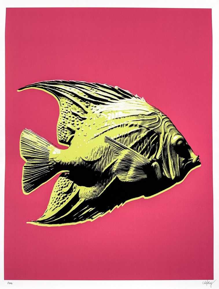 CJ Hendry, ‘Pastel Editions - Fish (Green-Pink)’, 2026, Print, Fine art paper, null, Numbered