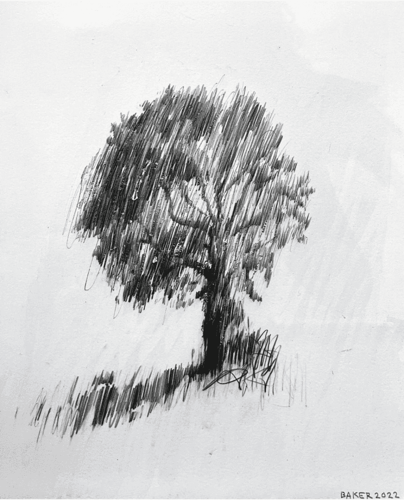 Charming Baker, ‘Ash to Ashes - 14’, 2022, Print, Unique Original Graphite Drawing on Paper, Framed in a Bespoke Ash Box Frame and Perspex Glazing, null, Dated, Framed
