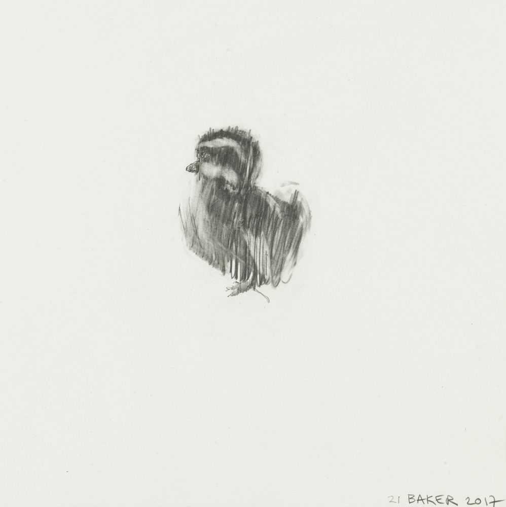 Charming Baker, ‘Duckling #21 Chen’, 2017, Print, Unique, graphite on wove paper, null, Dated