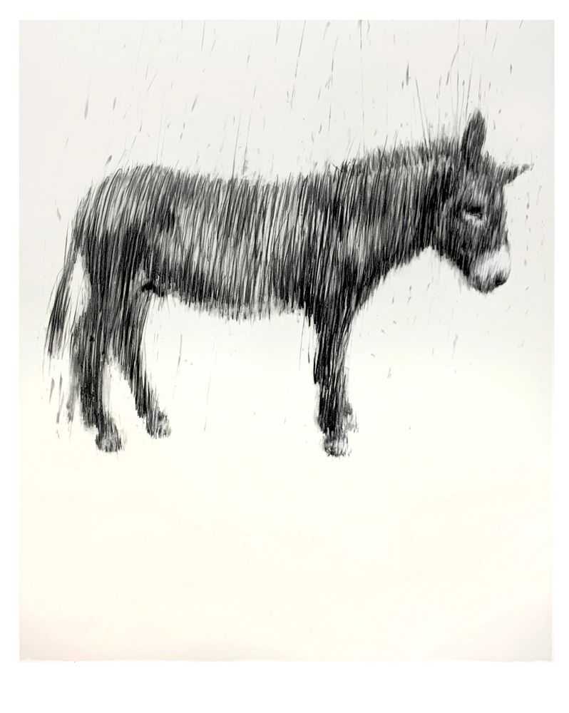 Charming Baker, ‘Graphite Unidonkey’, 17-12-2019, Print, 8 Colour Screenprint With Unique Hand Scratched Detail on Somerset Tub Sized 410gsm Paper, Jealous Gallery, Numbered