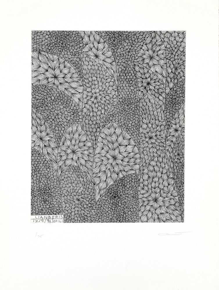 Chris Ofili, ‘Llanberis (North Wales)’, 1996, Print, Etching, null, Numbered