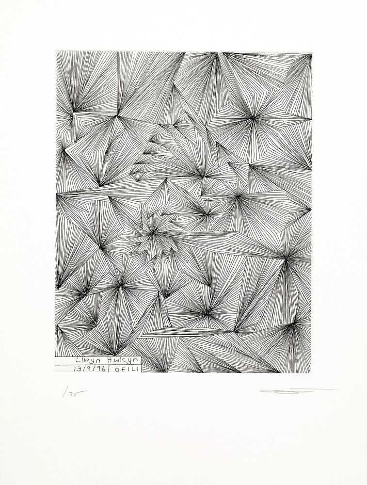 Chris Ofili, ‘Llwyn Hwleyn (North Wales)’, 1996, Print, Etching, null, Numbered