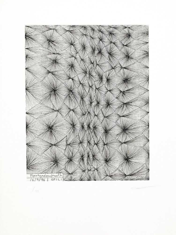 Chris Ofili, ‘Penrhyndeudraeth (North Wales)’, 1996, Print, Etching, null, Numbered