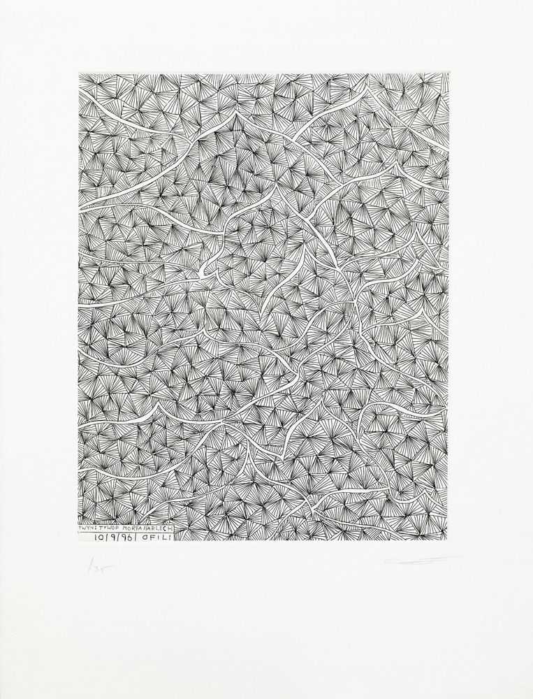 Chris Ofili, ‘Twynitywod (North Wales)’, 1996, Print, Etching, null, Numbered