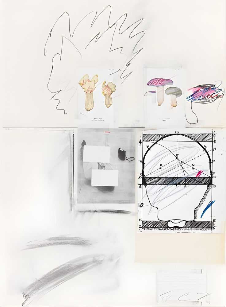 Cy Twombly, ‘Natural History Part I, Mushrooms Plate II’, 1974, Print, Lithograph, grano-lithograph, collotype, photochrome, paper collage and crayon on Rives Couronne paper, null, Numbered