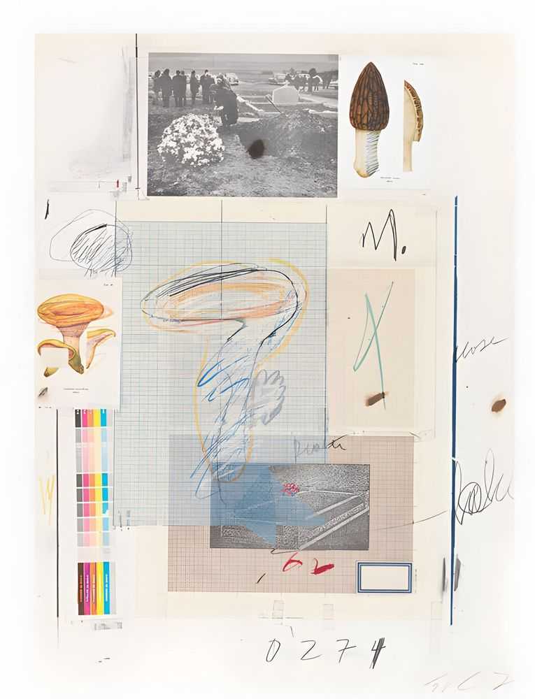 Cy Twombly, ‘Natural History Part I, Mushrooms Plate VII’, 1974, Print, Lithograph, grano-lithograph, collotype, photochrome, paper collage and crayon on Rives Couronne paper, null, Numbered