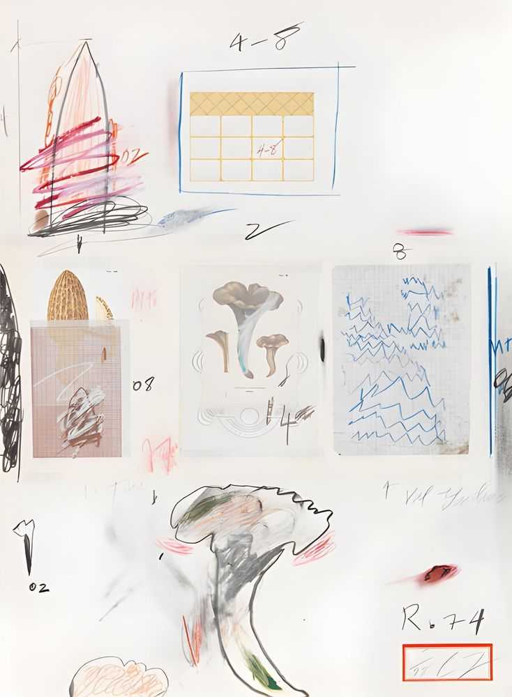 Cy Twombly, ‘Natural History Part I, Mushrooms Plate VI’, 1974, Print, Lithograph, grano-lithograph, collotype, photochrome, paper collage and crayon on Rives Couronne paper, null, Numbered