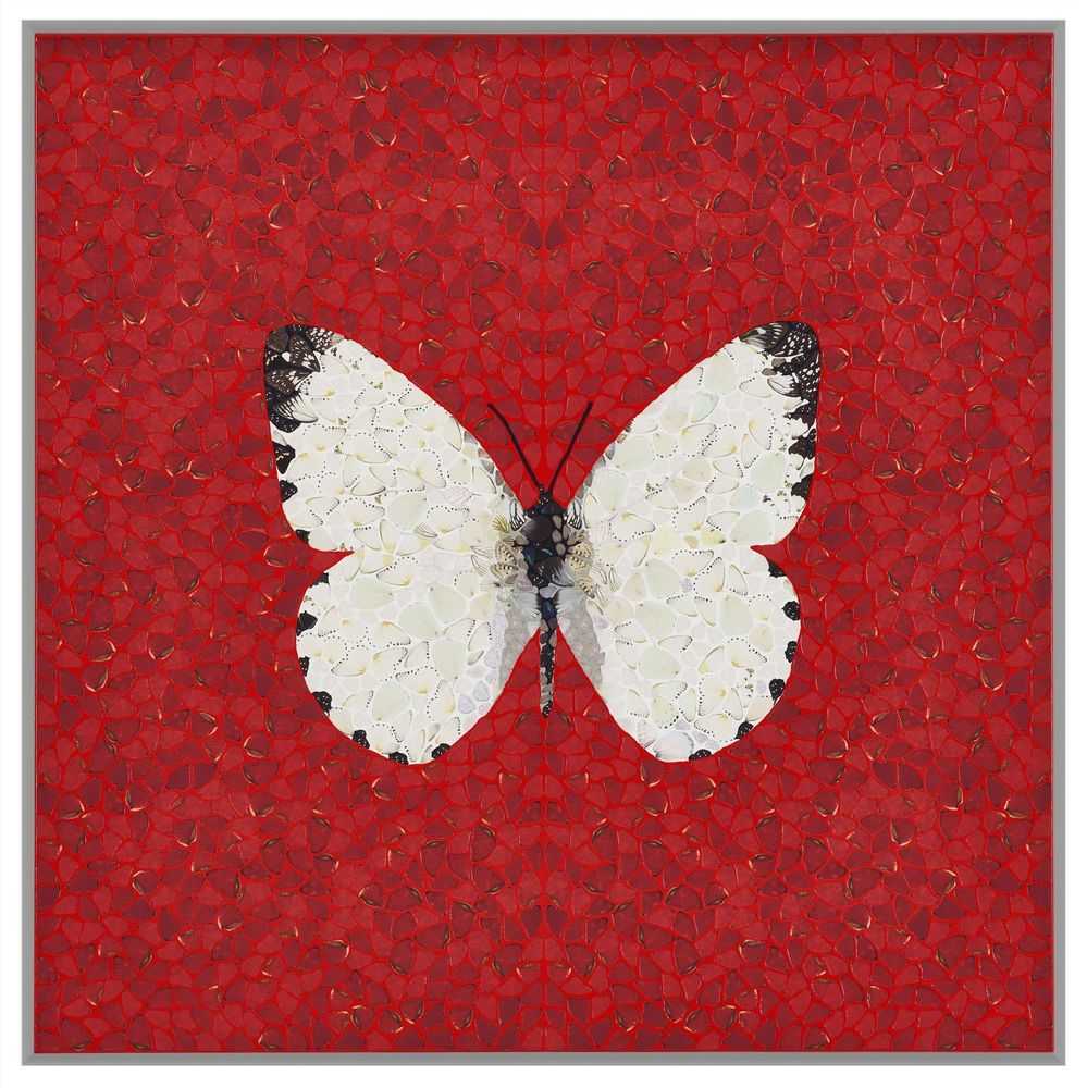 Damien Hirst, ‘DP1 Appias Sabina - Depictions’, 2026, Print,  Paint, oil ink, paper on canvas,  Heni Editions, Framed