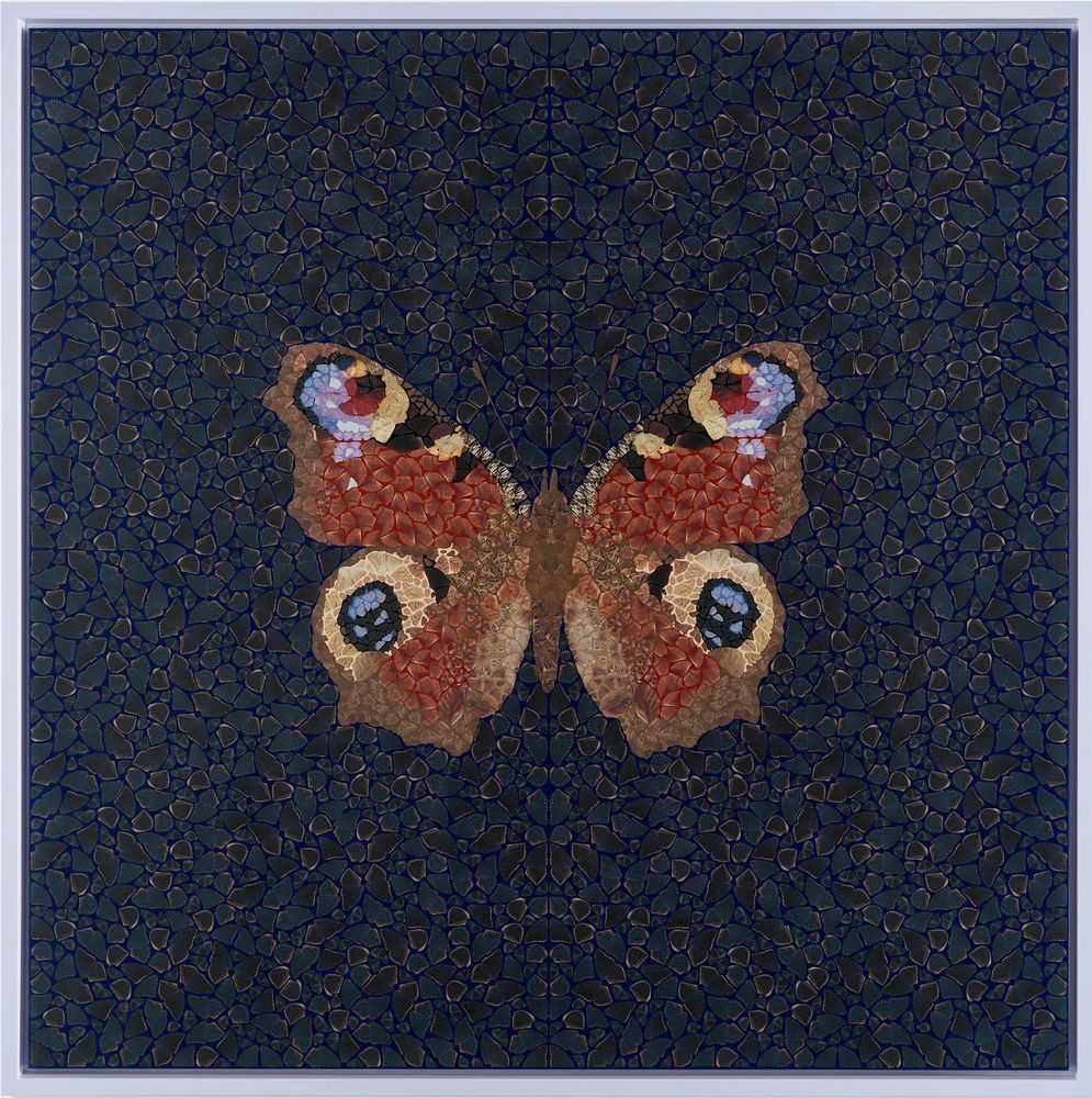 Damien Hirst, ‘DP44 Inachis Io - Depictions’, 2026, Print, Paint, oil ink, paper on canvas,  Heni Editions, Framed