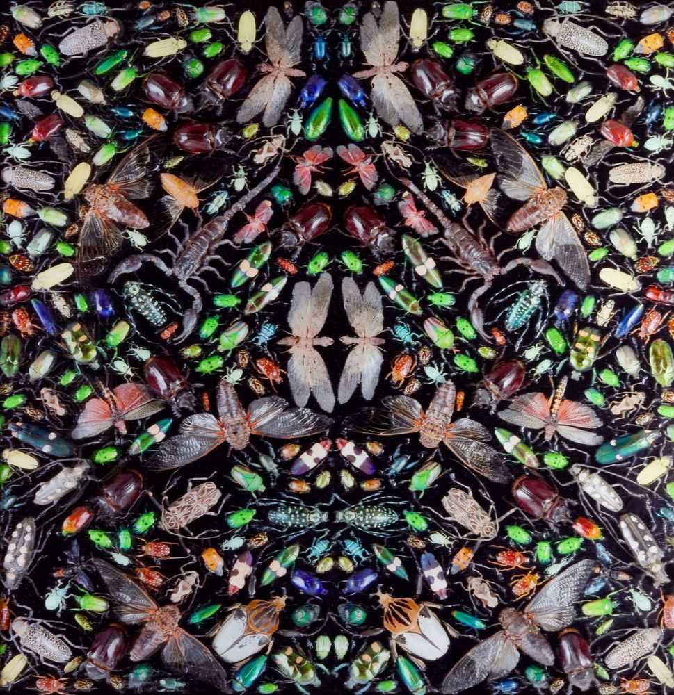Damien Hirst, ‘Inferno’, 2015, Print, Lenticular print in colours on PETG plastic, Other Criteria, Numbered