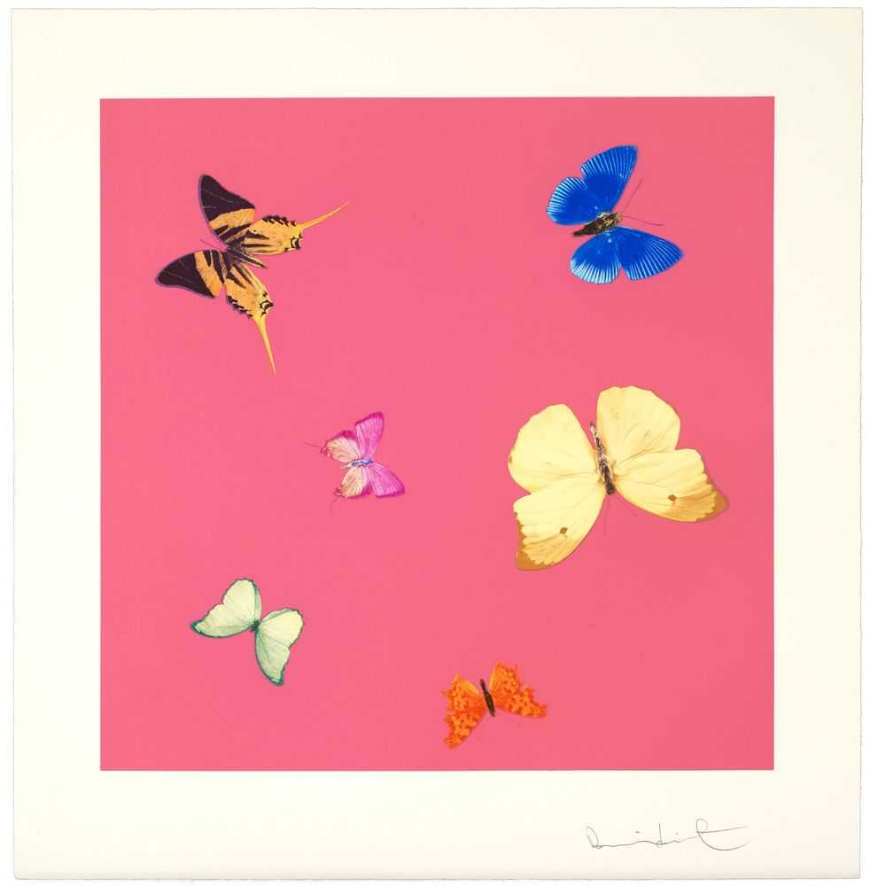 Damien Hirst, ‘Lullaby’, 2014, Print, Photogravure etchings, null, Numbered