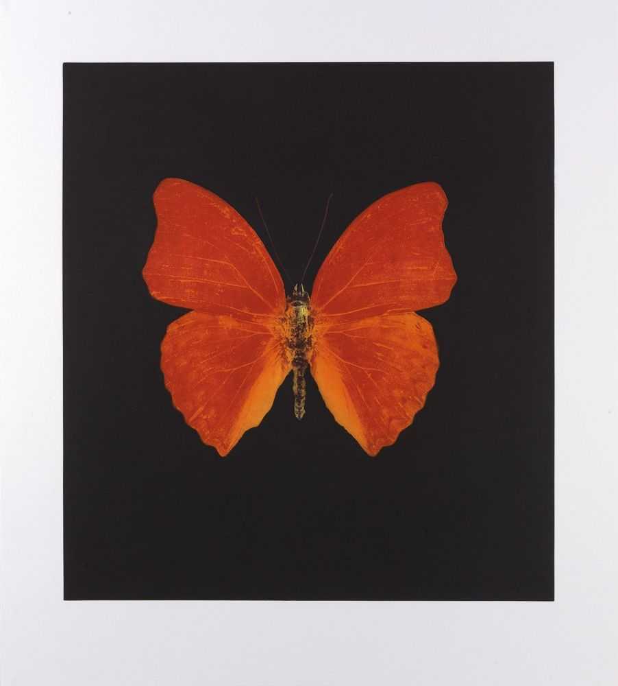 Damien Hirst, ‘Memento III’, 2008, Print, Portfolio of 13 photogravure / colour etchings on Arches paper, null, Numbered
