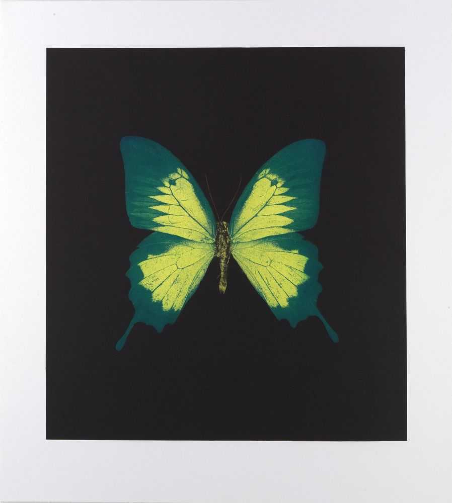 Damien Hirst, ‘Memento II’, 2008, Print, Portfolio of 13 photogravure / colour etchings on Arches paper, null, Numbered