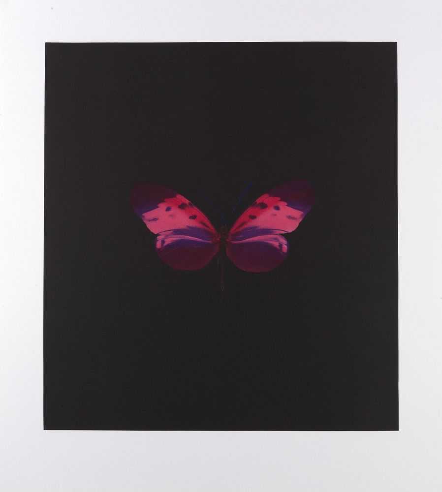 Damien Hirst, ‘Memento IV’, 2008, Print, Portfolio of 13 photogravure / colour etchings on Arches paper, null, Numbered