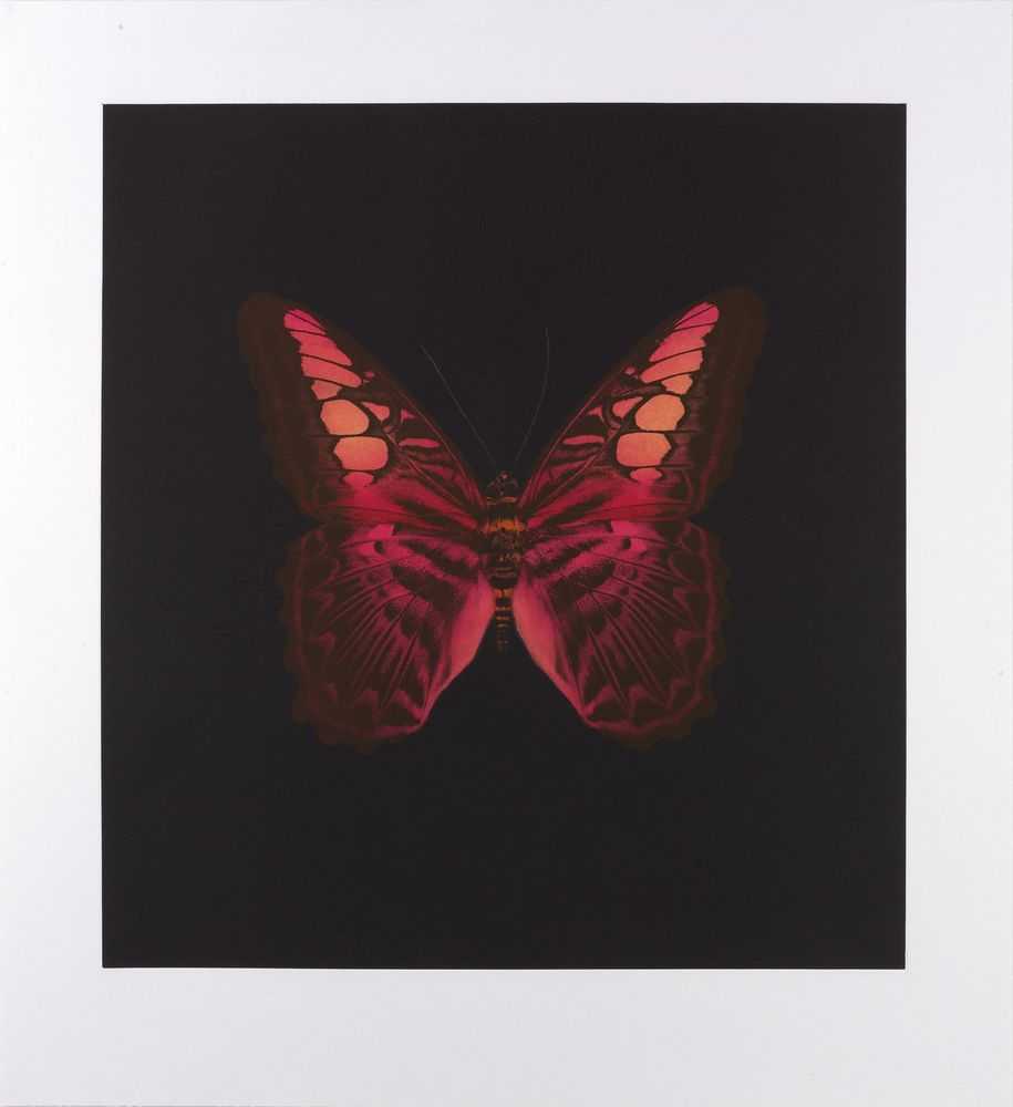 Damien Hirst, ‘Memento I’, 2008, Print, Portfolio of 13 photogravure / colour etchings on Arches paper, null, Numbered