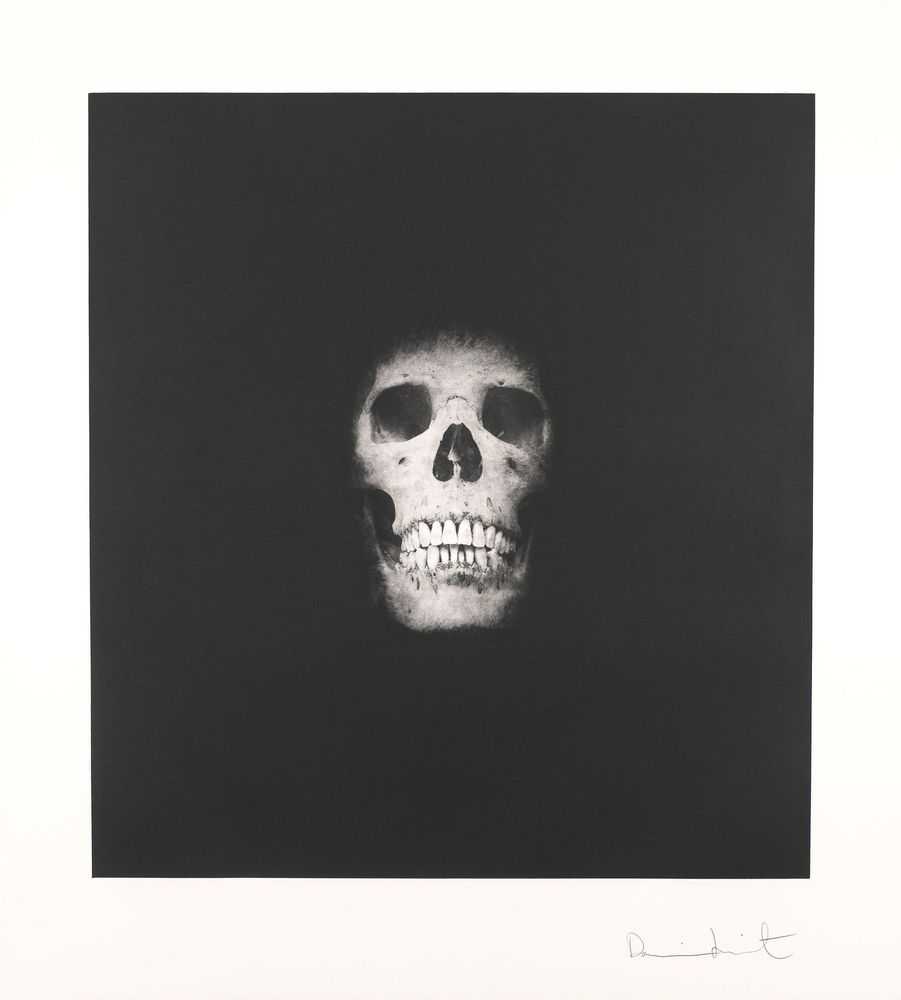 Damien Hirst, ‘Memento VIII’, 2008, Print, Portfolio of 13 photogravure / colour etchings on Arches paper, null, Numbered